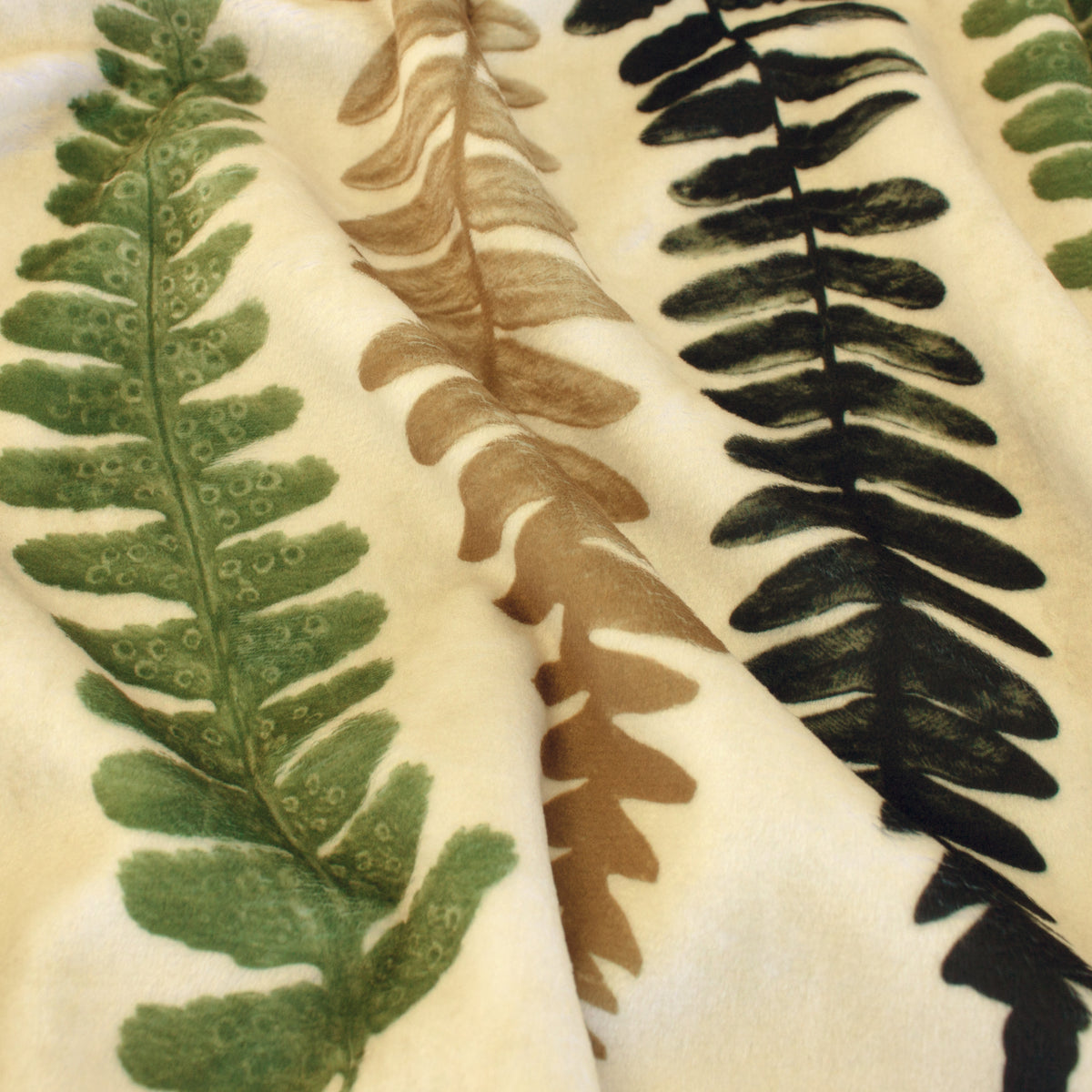 Carara | Boho Chic Ferns