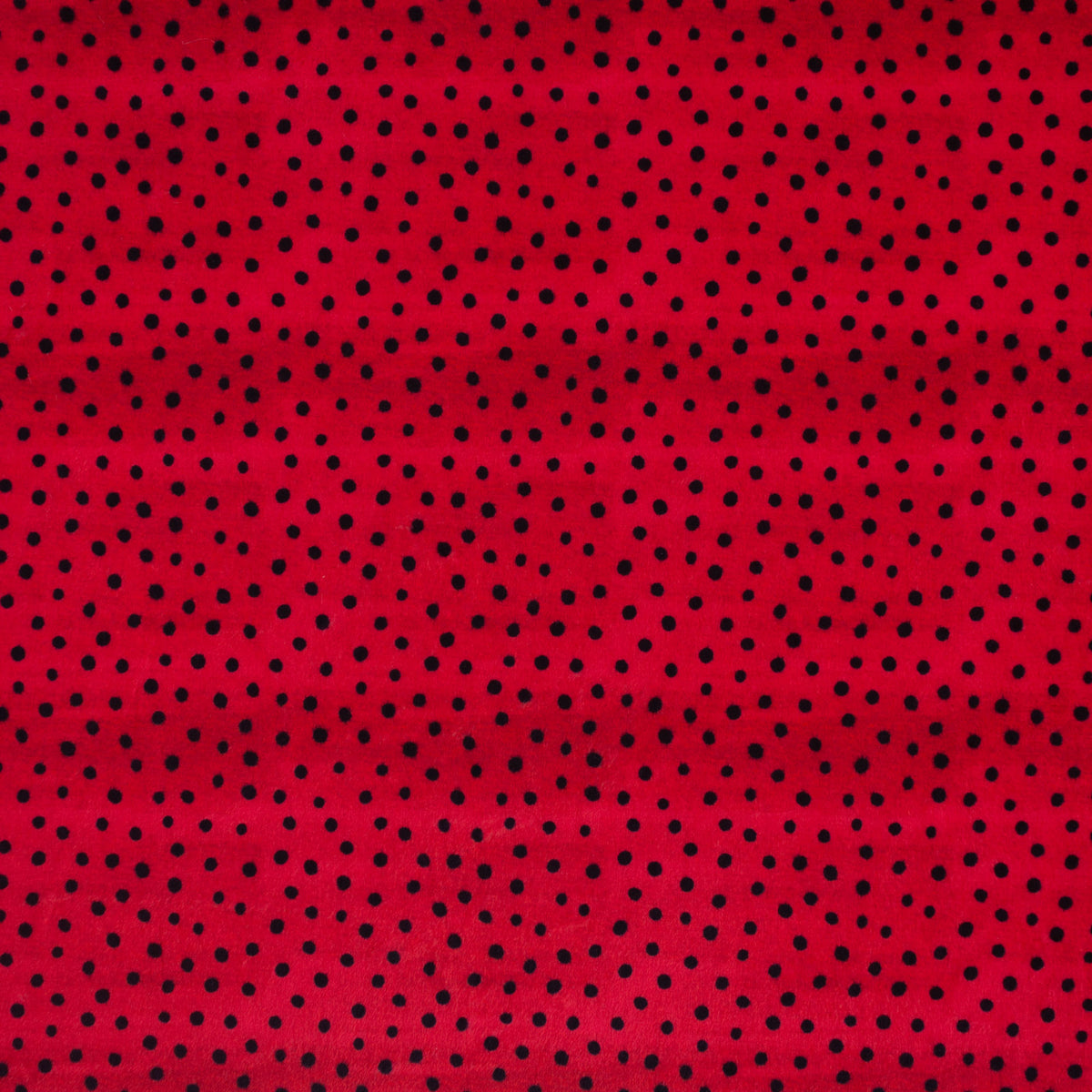 Critter Speckles | Buzzy as a Bug
