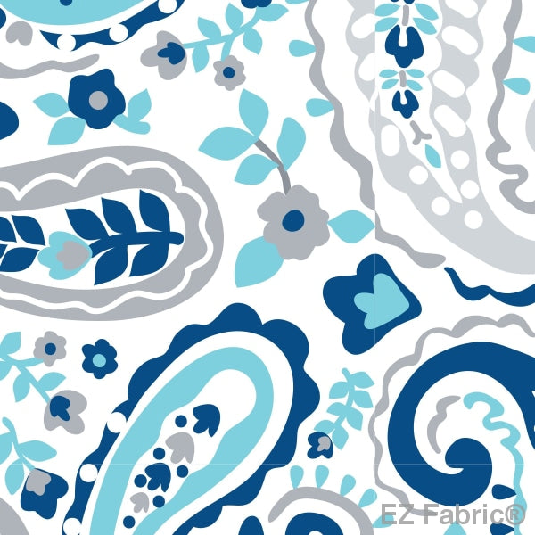 Smooth Kashmir Print On Minky Fabric Sky / Paisley